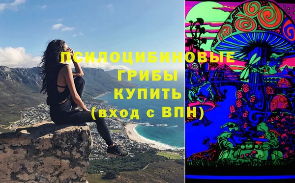 эйфоретик Алексин