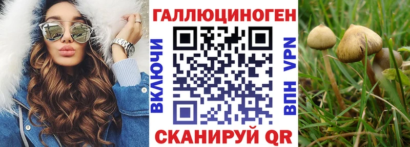 Псилоцибиновые грибы Psilocybe  дарнет шоп  Иланский 